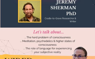 Wired For Success Podcast #62: The Mystery of the Human Experience with Jeremy Sherman PhD
