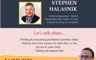 Wired For Success Podcast #56: Building Million-Dollar Companies with Stephen Halasnik