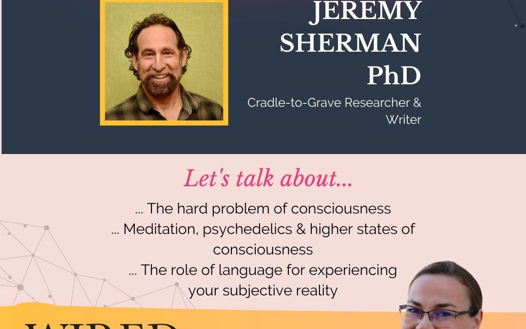 Wired For Success Podcast #62: The Mystery of the Human Experience with Jeremy Sherman PhD